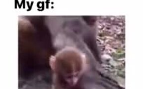 The Monkey Be Like "No Candies From Strangers" - Animals - VIDEOTIME.COM