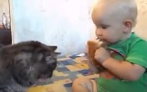 Very Nice Friendship, But Not Nice For The Toddler - Animals - VIDEOTIME.COM