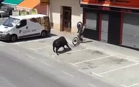 Who Do Bulls Hate Two-Wheelers? - Animals - VIDEOTIME.COM