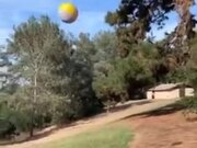 This Dog Has His Way With The Ball