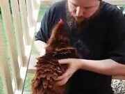 This Hen Needs Some Cuddles Too