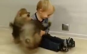 Baby Fluffballs Playing With A Baby - Animals - VIDEOTIME.COM