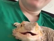 This Smiling Lizard Will Make Your Day