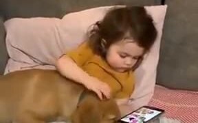 Baby Babysitting A Baby Golden Retriever - Animals - VIDEOTIME.COM
