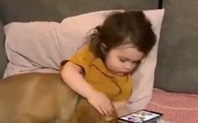 Baby Babysitting A Baby Golden Retriever - Animals - VIDEOTIME.COM