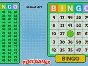 Bingo Solo Walkthrough - Games - Y8.COM