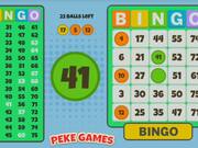Bingo Solo Walkthrough - Games - Y8.COM