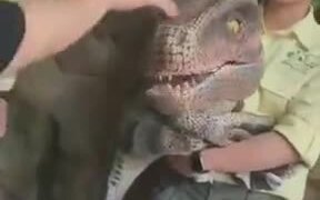 Does Anyone Want A Dinosaur Pet? - Fun - Videotime.com
