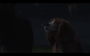 Lady and the Tramp Trailer 2 - Movie trailer - VIDEOTIME.COM