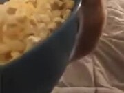 Behold The Tiny Popcorn Thief