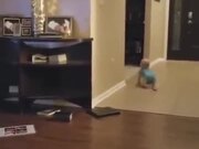 Dog Playing With The Baby