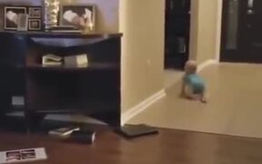 Dog Playing With The Baby