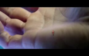 Bloodshot Official Trailer - Movie trailer - VIDEOTIME.COM