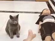 Cat Knows How To Play Dead Too