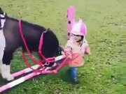 A Tiny Kid Needs A Tiny Pony Friend
