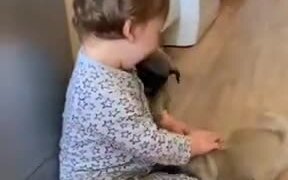 Cute Baby With Cute Puppies
