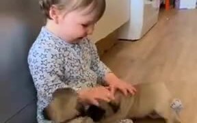 Cute Baby With Cute Puppies - Animals - VIDEOTIME.COM