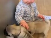 Cute Baby With Cute Puppies