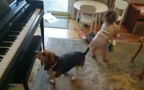Baby And Doggo's New Band - Animals - VIDEOTIME.COM