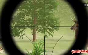Deer Hunter Classical Walkthrough - Games - VIDEOTIME.COM