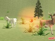 Deer Hunter Classical Walkthrough - Games - Y8.com