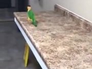 Is This A Bird Or A Toy?