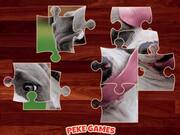 Funny Dogs Puzzle Walkthrough - Games - Y8.COM
