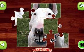 Funny Dogs Puzzle Walkthrough - Games - VIDEOTIME.COM