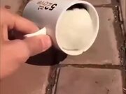 A Fresh Cup Of Hamster