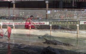 The World's Largest Crocodile In Captivity - Animals - VIDEOTIME.COM