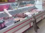 Cat Visits The Meat Shop For Some Nice Cuts