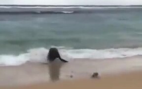 The Fisherman Certainly Didn't Expect That - Animals - VIDEOTIME.COM