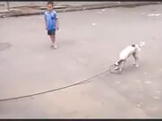 Doggo Great With Skipping Rope