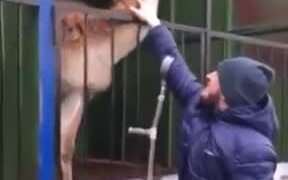 This Guy Had It Coming - Animals - VIDEOTIME.COM