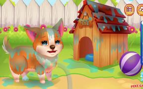 Funny Pet Rescue Walkthrough - Games - VIDEOTIME.COM