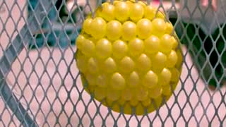 Slow Motion + Water Balloons + Wire Fence = Magic!