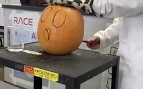 Chemistry + Halloween Pumpkin = Amazing Results - Fun - VIDEOTIME.COM