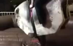 Woman Rides On A Twerking Mechanical Bull! - Fun - VIDEOTIME.COM