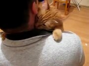 Cat In Need Of Some Affection