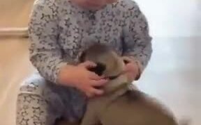 The Cutest Thing On The Internet Today! - Animals - VIDEOTIME.COM