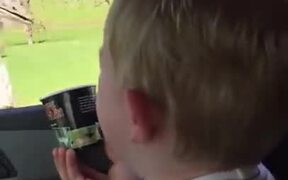 Kid's Really Amused At Feeding An Ostrich! - Kids - VIDEOTIME.COM