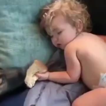 Doggo Casually Eats Kid's Snack