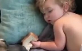 Doggo Casually Eats Kid's Snack - Animals - VIDEOTIME.COM