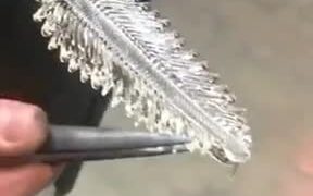 Making A Beautiful Glass Feather! - Tech - VIDEOTIME.COM