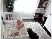 Dogs Can Be The Best Babysitters!
