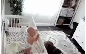 Dogs Can Be The Best Babysitters! - Animals - Videotime.com