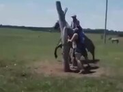 Guy Does A Full 360° On Rowdy Horse!