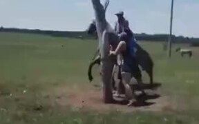 Guy Does A Full 360° On Rowdy Horse! - Fun - VIDEOTIME.COM