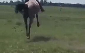 Guy Does A Full 360° On Rowdy Horse! - Fun - VIDEOTIME.COM