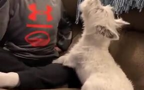 The Most Wholesome Video On The Internet Today! - Animals - VIDEOTIME.COM